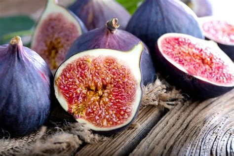 fig traduzione|fig in italian meaning.